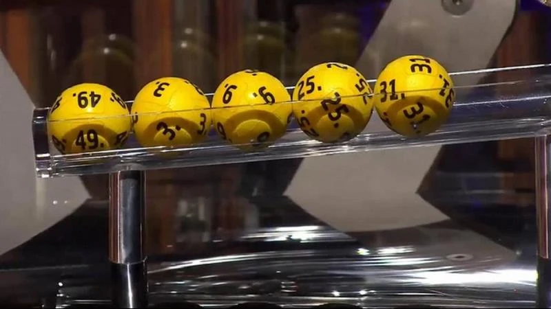 Gà Chọi C1: Trực Tiếp và Những Điều Cần Biết